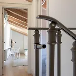 Palazzo Tergesteo Tirabora